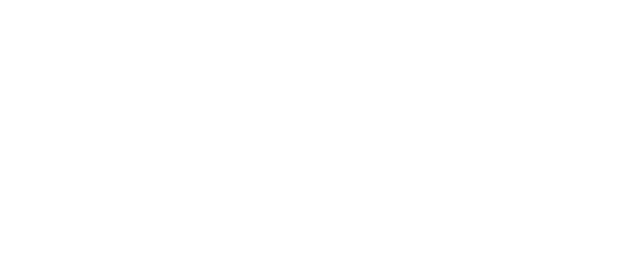 Logótipo BDM Engenharia e Tecnologia
