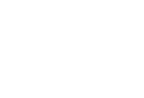 Logótipo ANAC